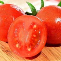 测试——农家的西红柿